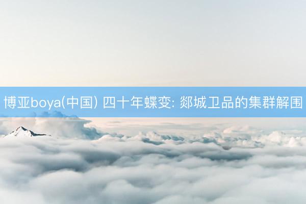 博亚boya(中国) 四十年蝶变: 郯城卫品的集群解围
