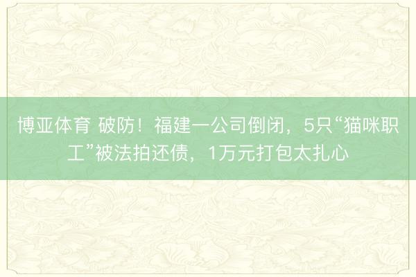 博亚体育 破防！福建一公司倒闭，5只“猫咪职工”被法拍还债，1万元打包太扎心