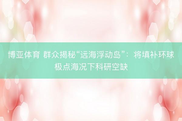 博亚体育 群众揭秘“远海浮动岛”：将填补环球极点海况下科研空缺