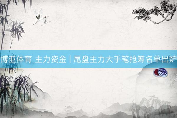 博亚体育 主力资金 | 尾盘主力大手笔抢筹名单出炉