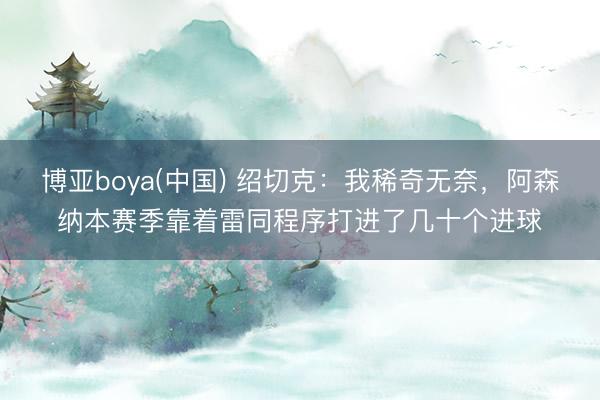 博亚boya(中国) 绍切克：我稀奇无奈，阿森纳本赛季靠着雷同程序打进了几十个进球