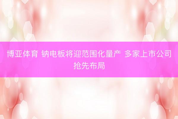 博亚体育 钠电板将迎范围化量产 多家上市公司抢先布局