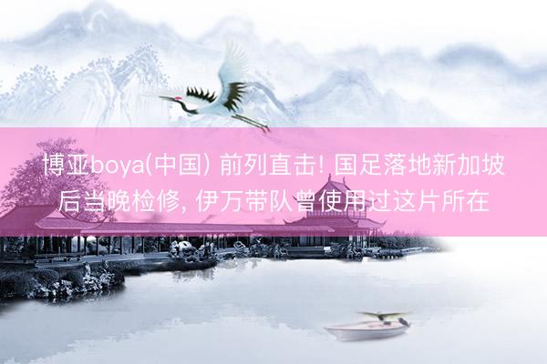博亚boya(中国) 前列直击! 国足落地新加坡后当晚检修， 伊万带队曾使用过这片所在