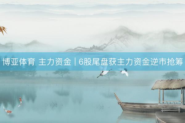 博亚体育 主力资金 | 6股尾盘获主力资金逆市抢筹