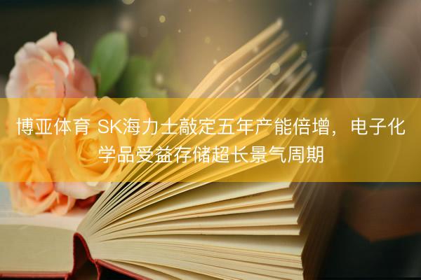 博亚体育 SK海力士敲定五年产能倍增，电子化学品受益存储超长景气周期