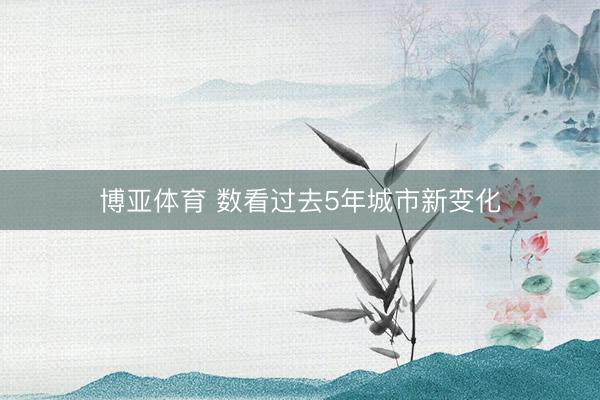 博亚体育 数看过去5年城市新变化