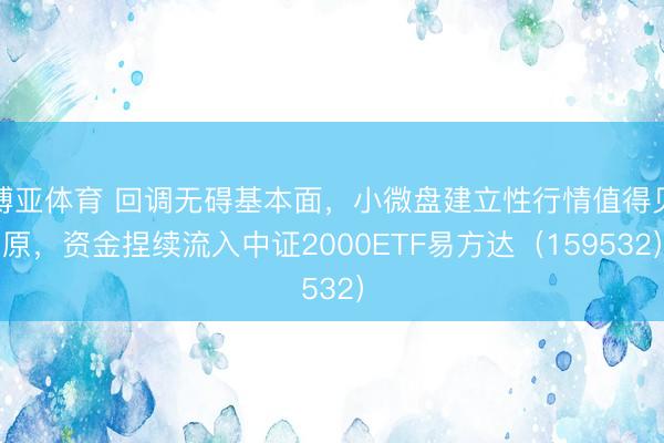 博亚体育 回调无碍基本面，小微盘建立性行情值得见原，资金捏续流入中证2000ETF易方达（159532）