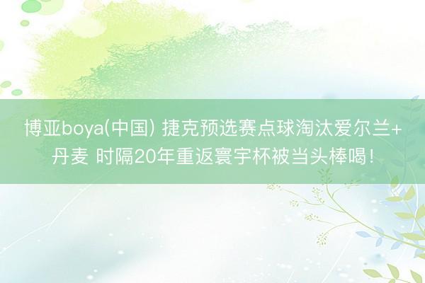 博亚boya(中国) 捷克预选赛点球淘汰爱尔兰+丹麦 时隔20年重返寰宇杯被当头棒喝！