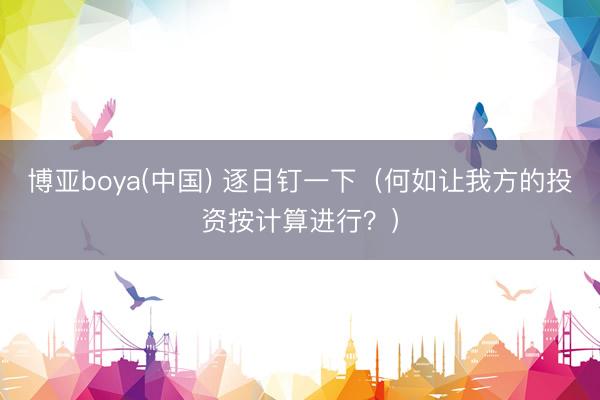 博亚boya(中国) 逐日钉一下（何如让我方的投资按计算进行？）