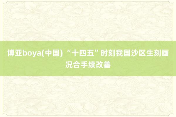 博亚boya(中国) “十四五”时刻我国沙区生刻画况合手续改善